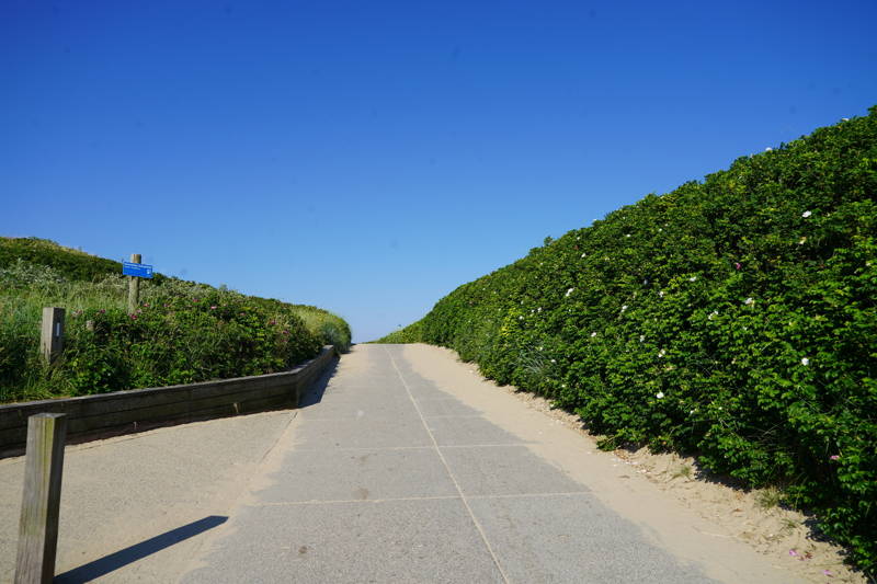 Fietsen Callantsoog met LekkerNaarZee